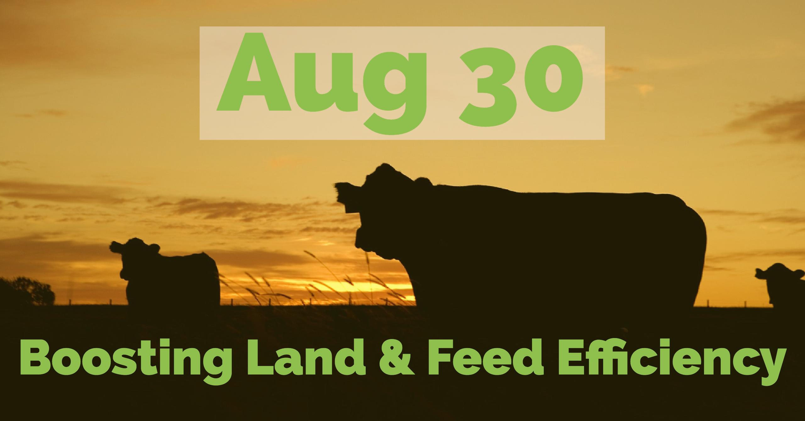 Boosting Land and Feed Efficiency