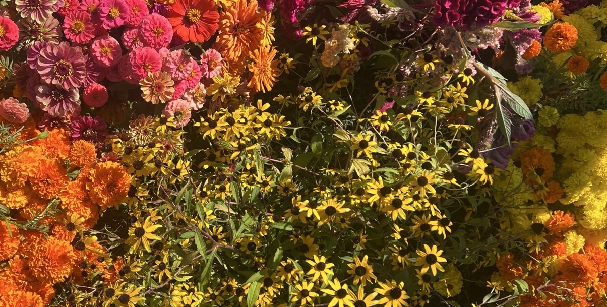 FSFL Market Gardening
