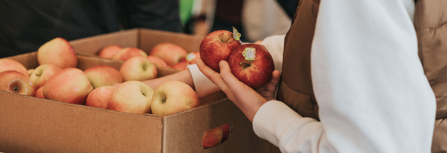Person holding apples 