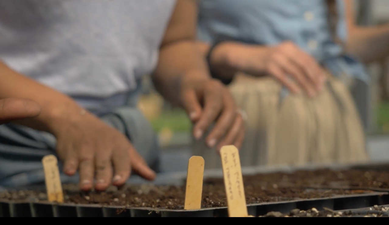 urban ag