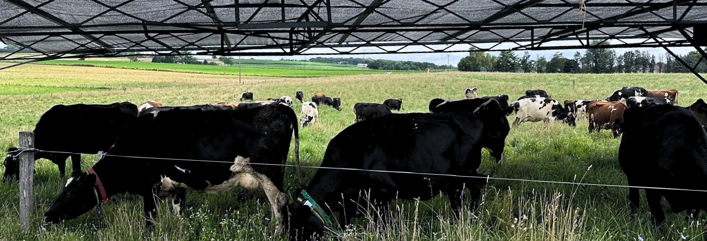 Ag Innovation Webinar