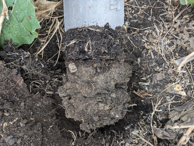 no till