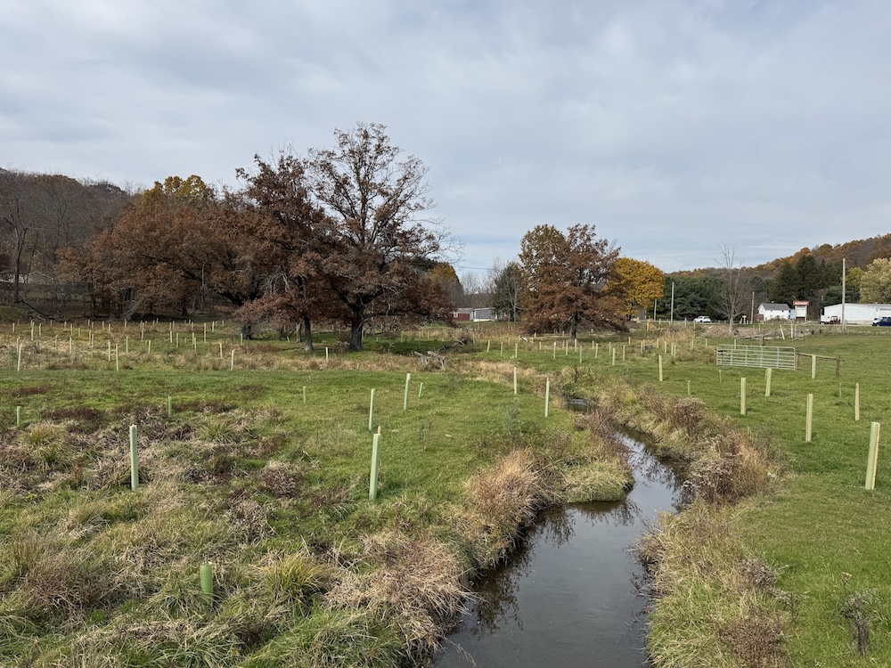 Riparian Buffer