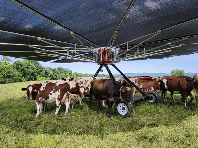 Informed grazing