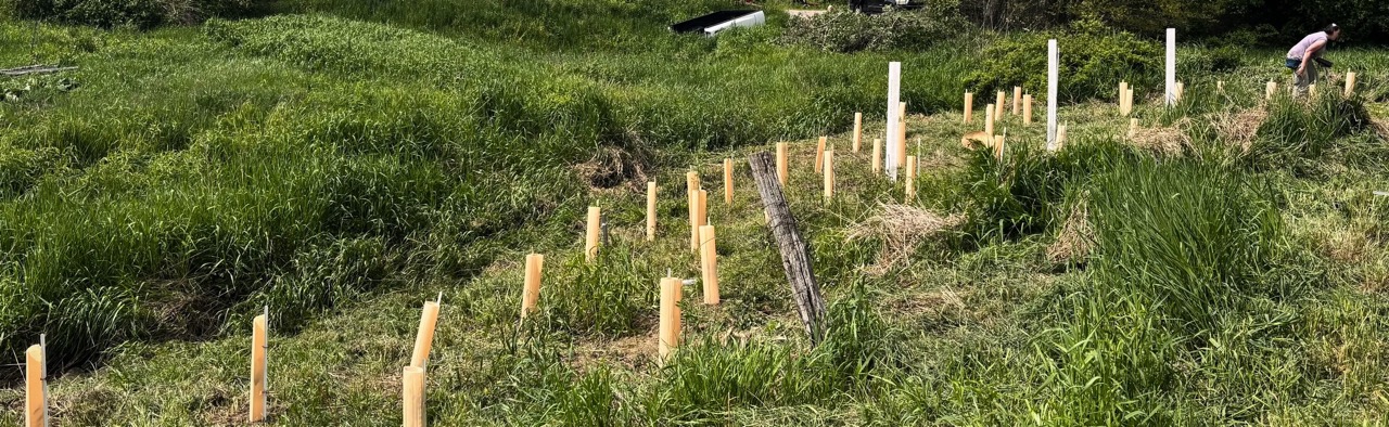 2026 Planting
